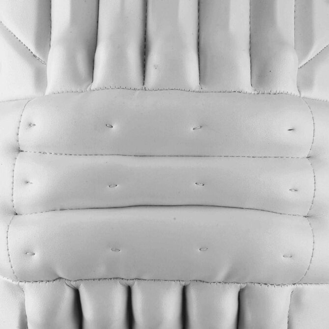 CA GOLD DRAGON Batting Pads