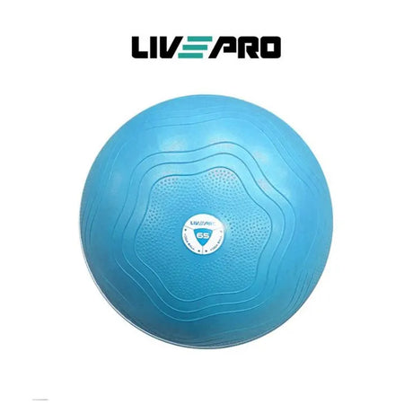LP8201 - Anti Burst Gym Ball