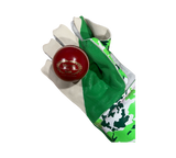 Wicketkeeping Gloves  Plus 15000