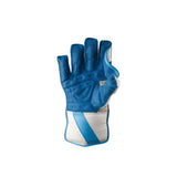 Wicketkeeping Gloves  Plus 8000