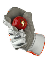 Wicketkeeping Gloves  20k