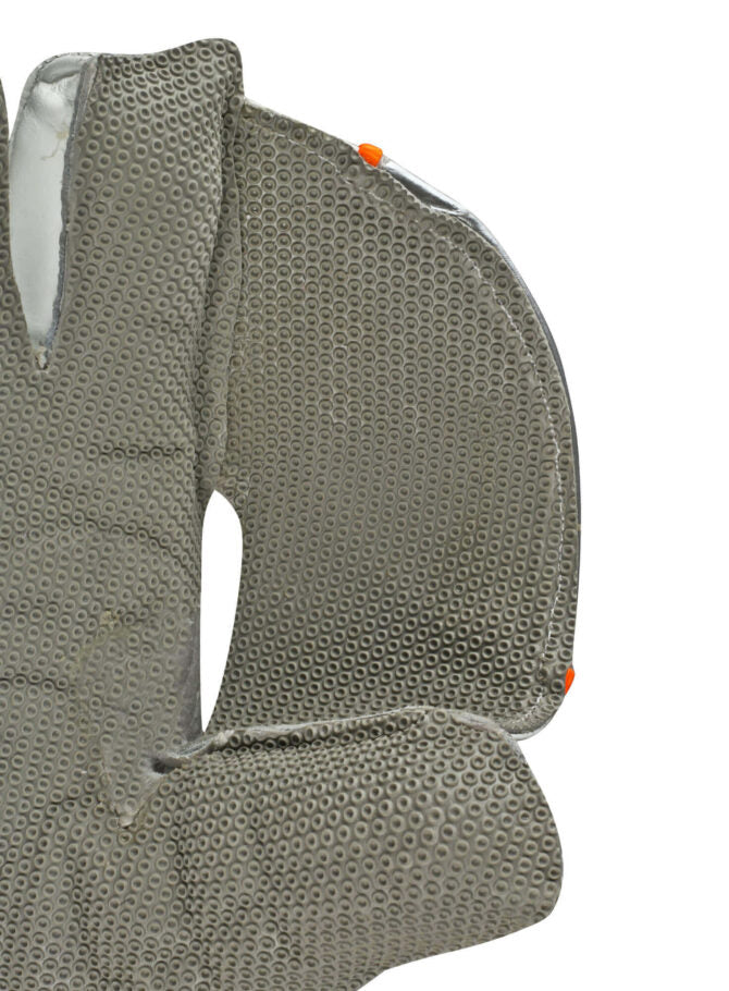 Wicketkeeping Gloves  20k