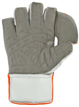 Wicketkeeping Gloves  20k