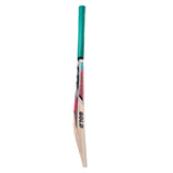 CA GOLD 3000 Bat