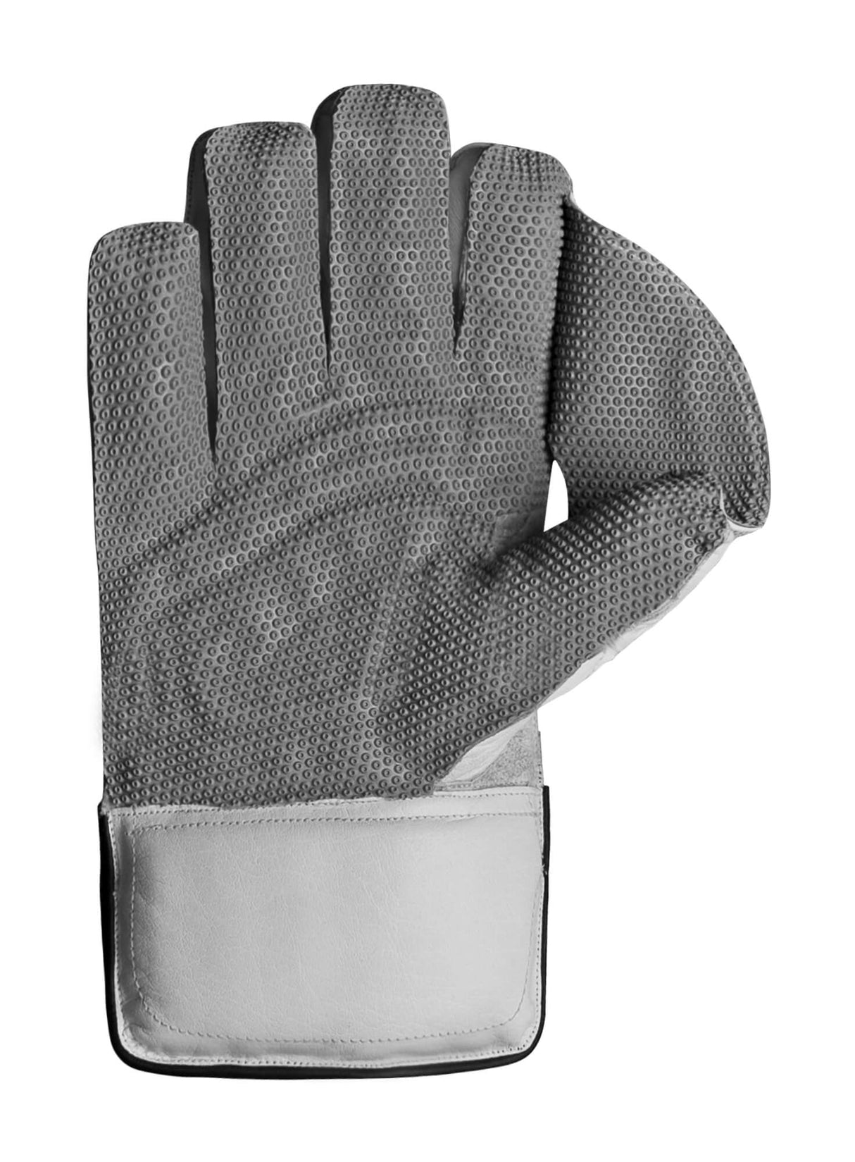 Wicketkeeping Gloves  Pro Limited Edition