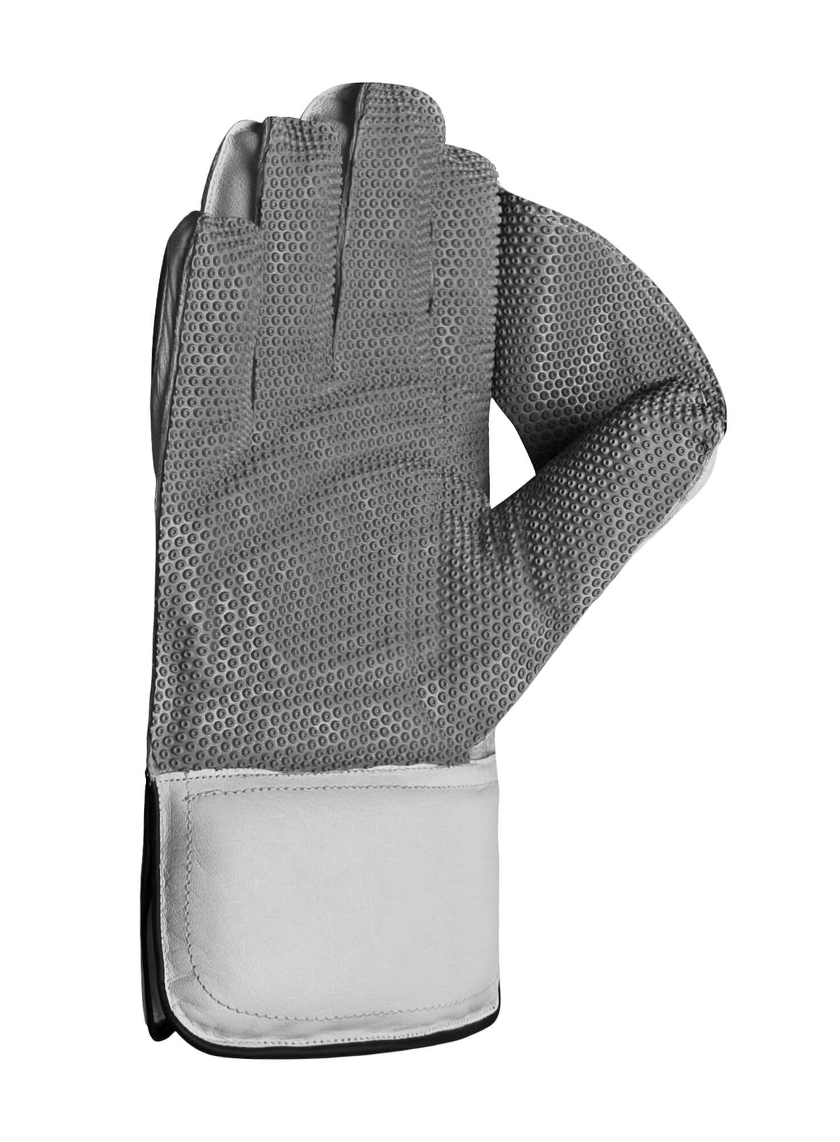 Wicketkeeping Gloves  Pro Limited Edition