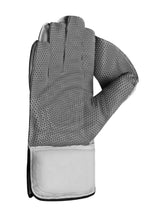Wicketkeeping Gloves  Pro Limited Edition