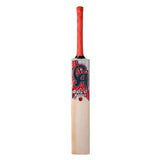 CA GOLD 5000 Bat