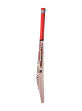 CA GOLD Player Edition 15000 Bat
