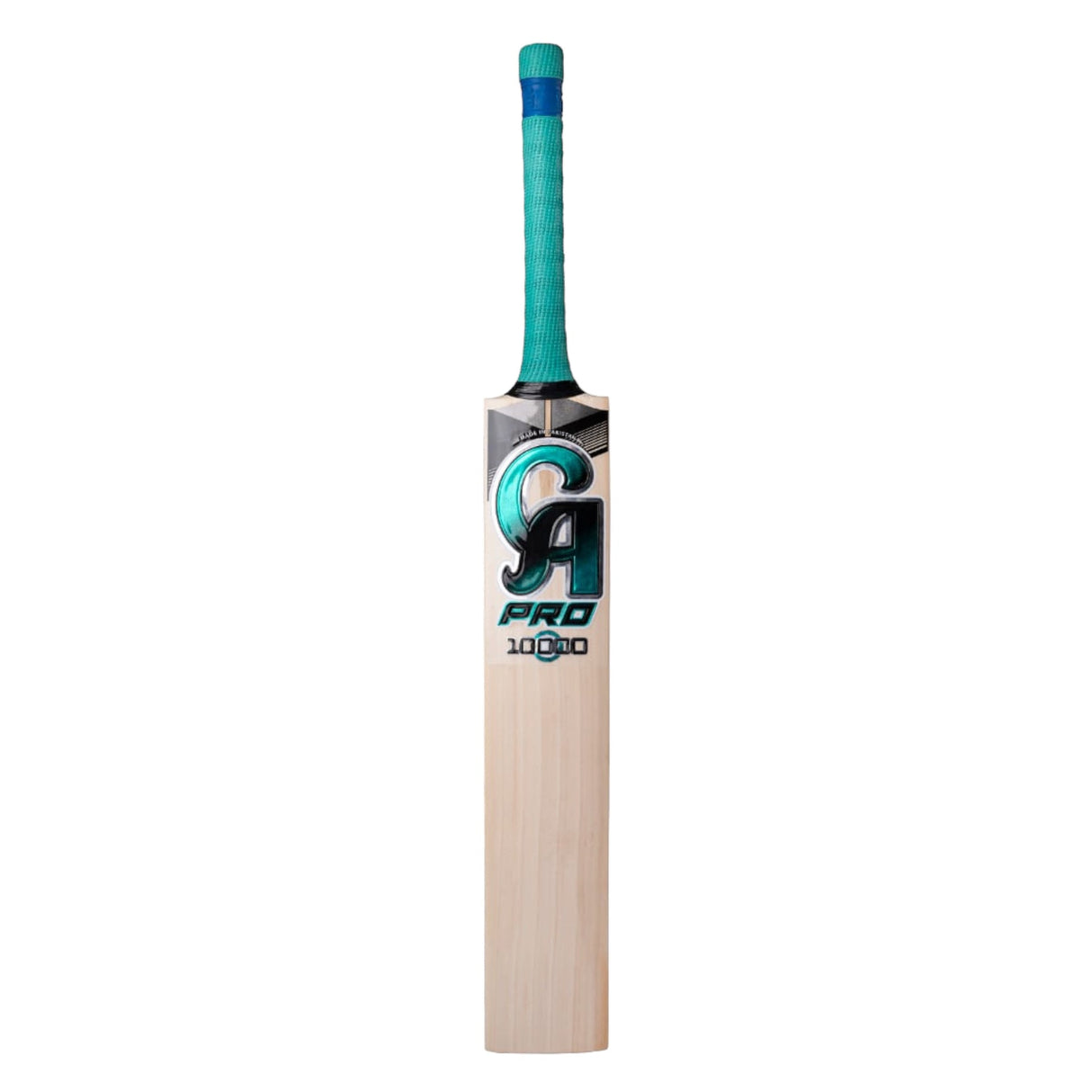 CA PRO 10000 Bat