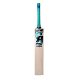 CA PRO 10000 Bat