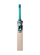 CA PRO 10000 Bat