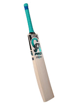 CA PRO 10000 Bat