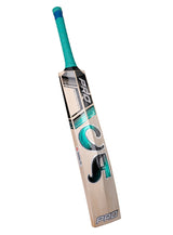 CA PRO 10000 Bat