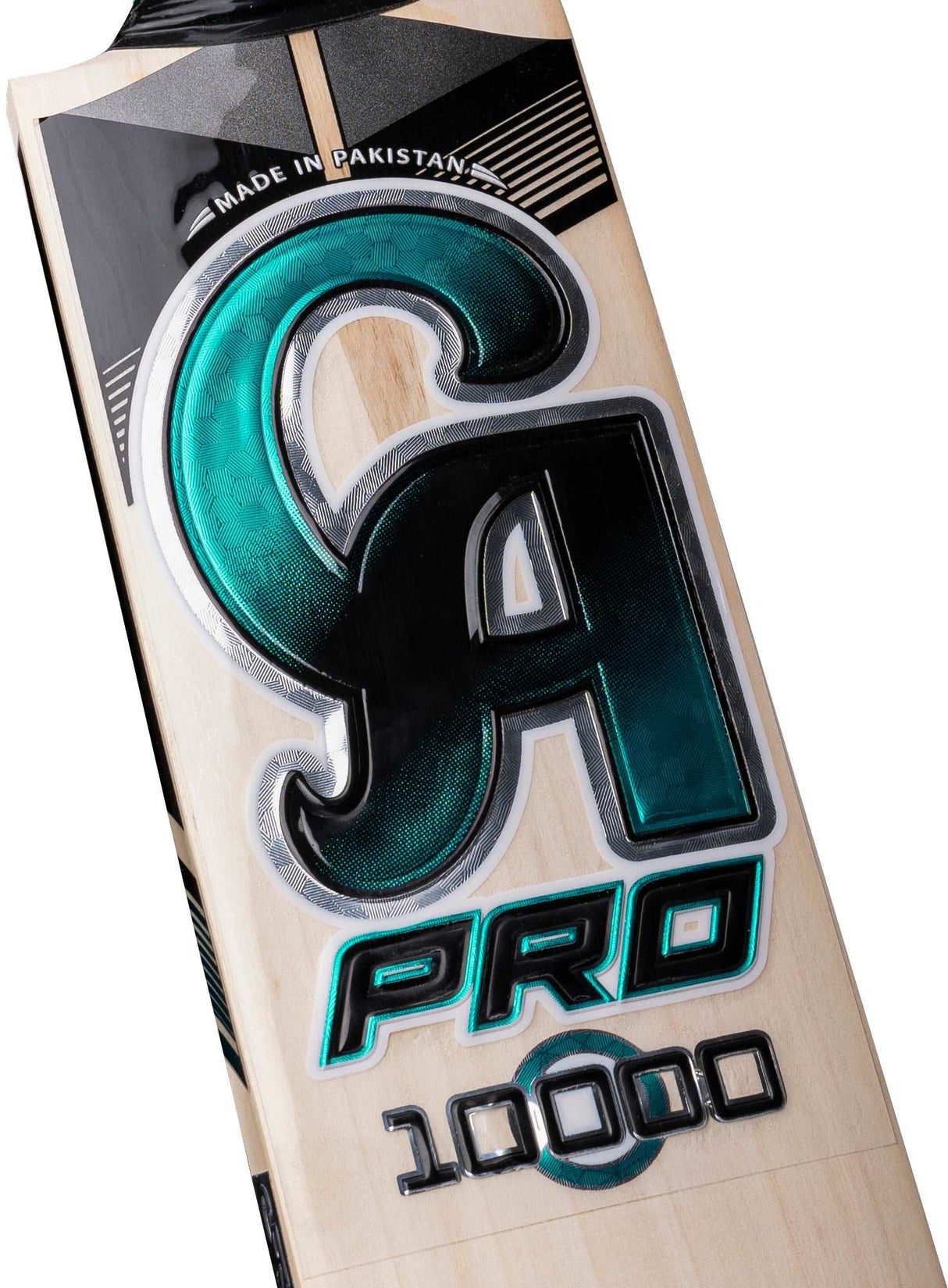 CA PRO 10000 Bat