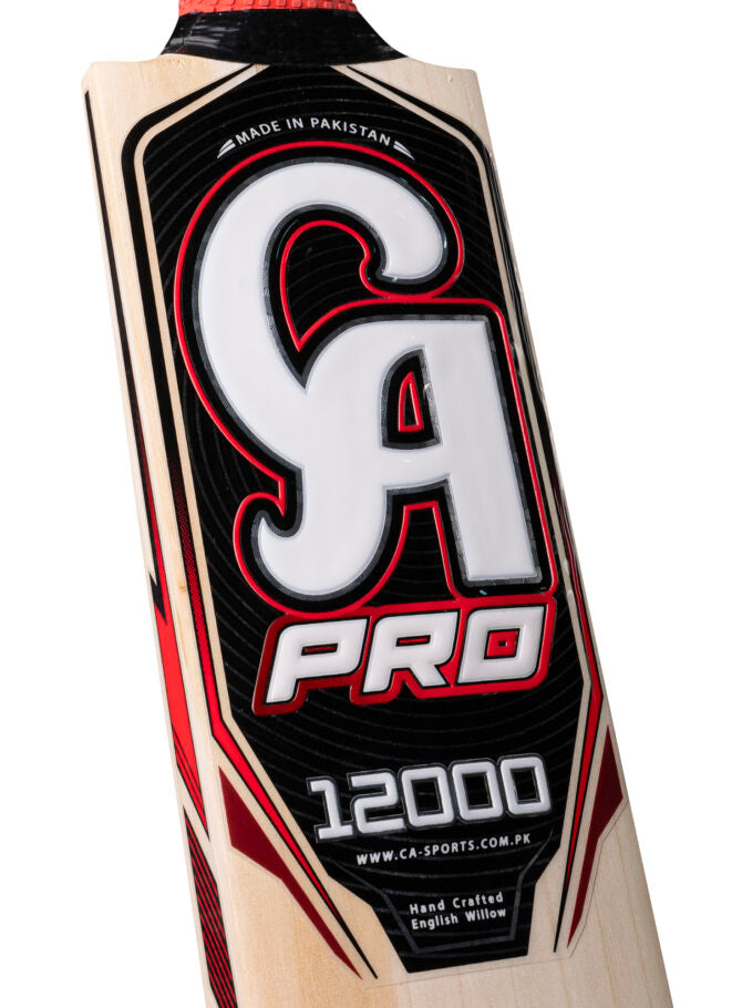 PRO 12000 Bat