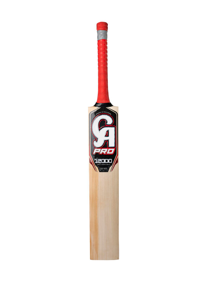 PRO 12000 Bat
