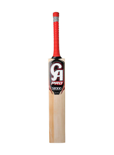 PRO 12000 Bat