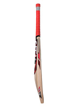PRO 12000 Bat