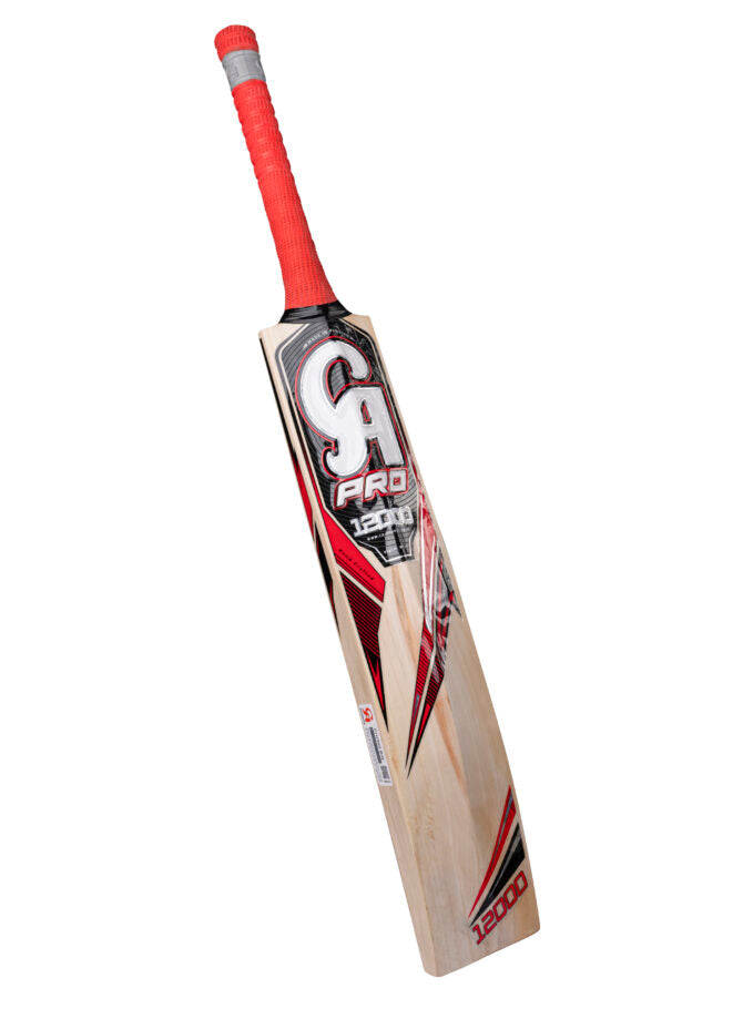 PRO 12000 Bat