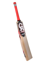 PRO 12000 Bat