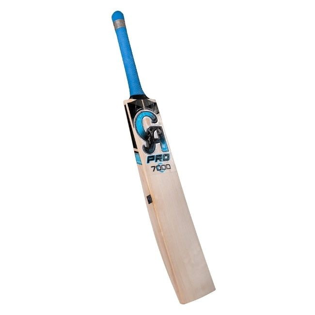 CA PRO 7000 Bat