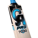 CA PRO 7000 Bat
