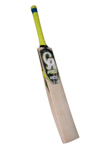 CA PRO 8000 Bat