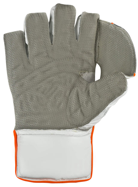 Wicketkeeping Gloves  Plus 20000