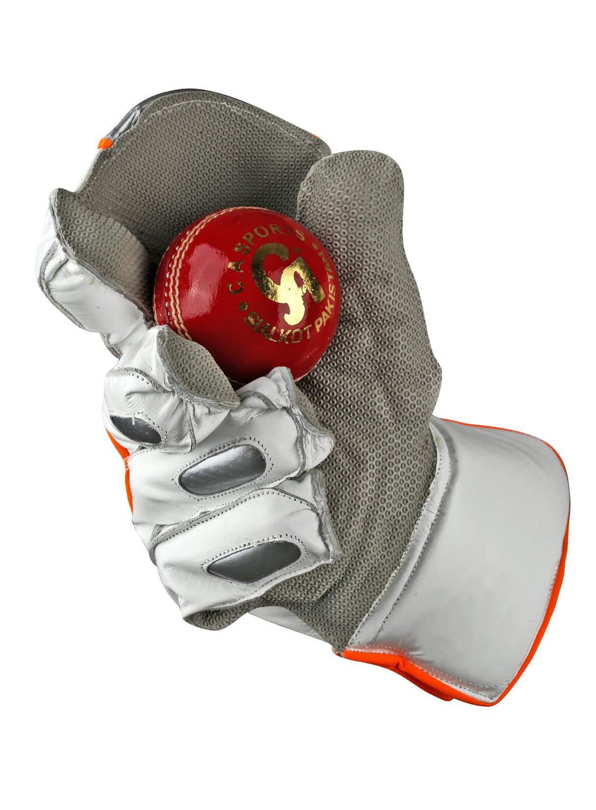 Wicketkeeping Gloves  Plus 20000