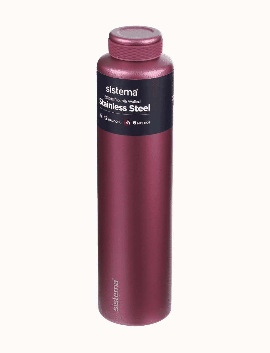 Chic Stainless Steel Water Bottle  520