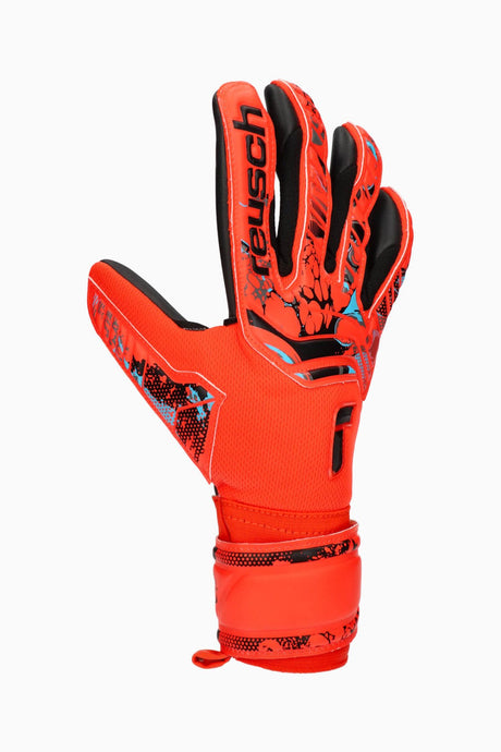 Attrakt Grip Evolution