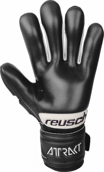 Attrakt Freegel Infinity FS