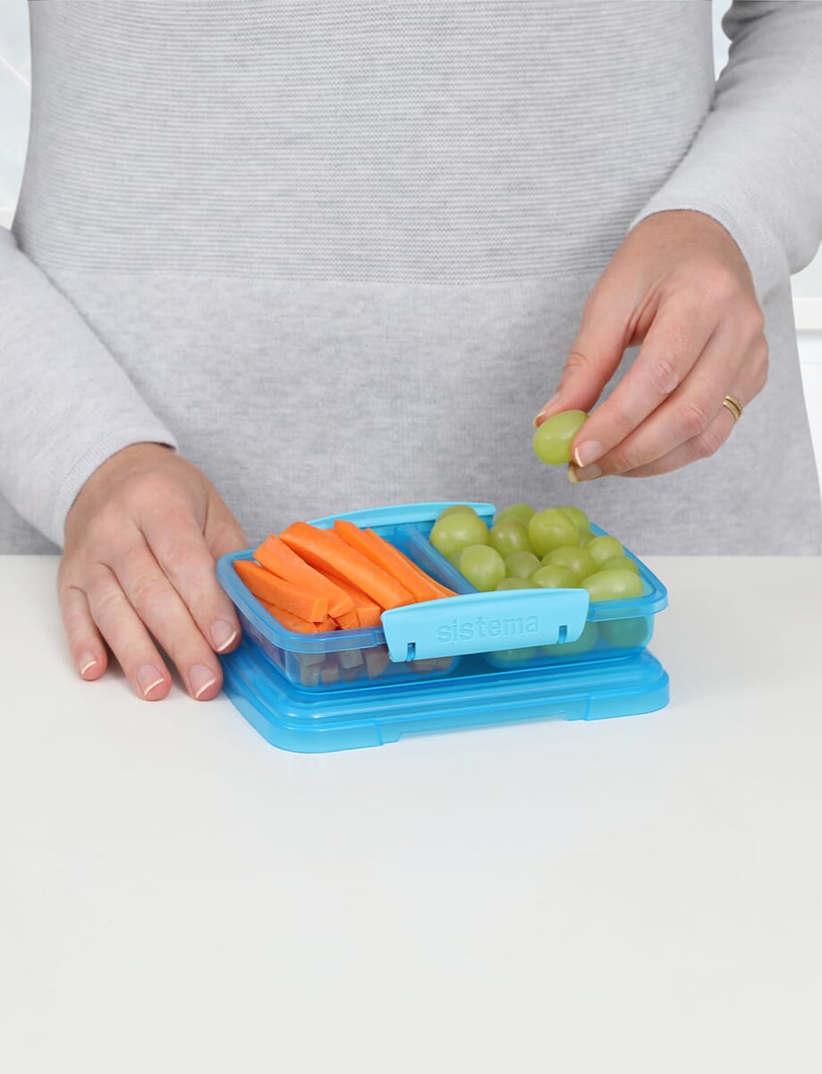 Small Split Lunch Box Coloured  41518