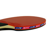 Timo Boll CF 3000 Table Tennis Racquet