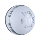 WB Plus Hardball